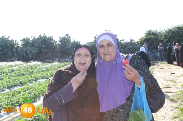 re7la tolkarem (85).JPG